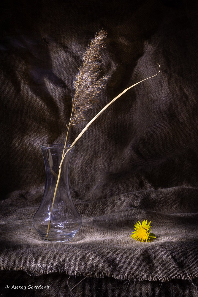 photo "Flower" tags: still life, 