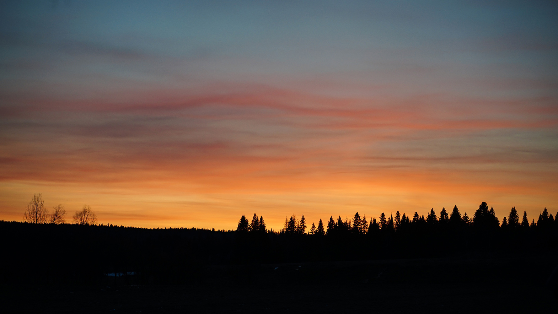 photo "***" tags: , 