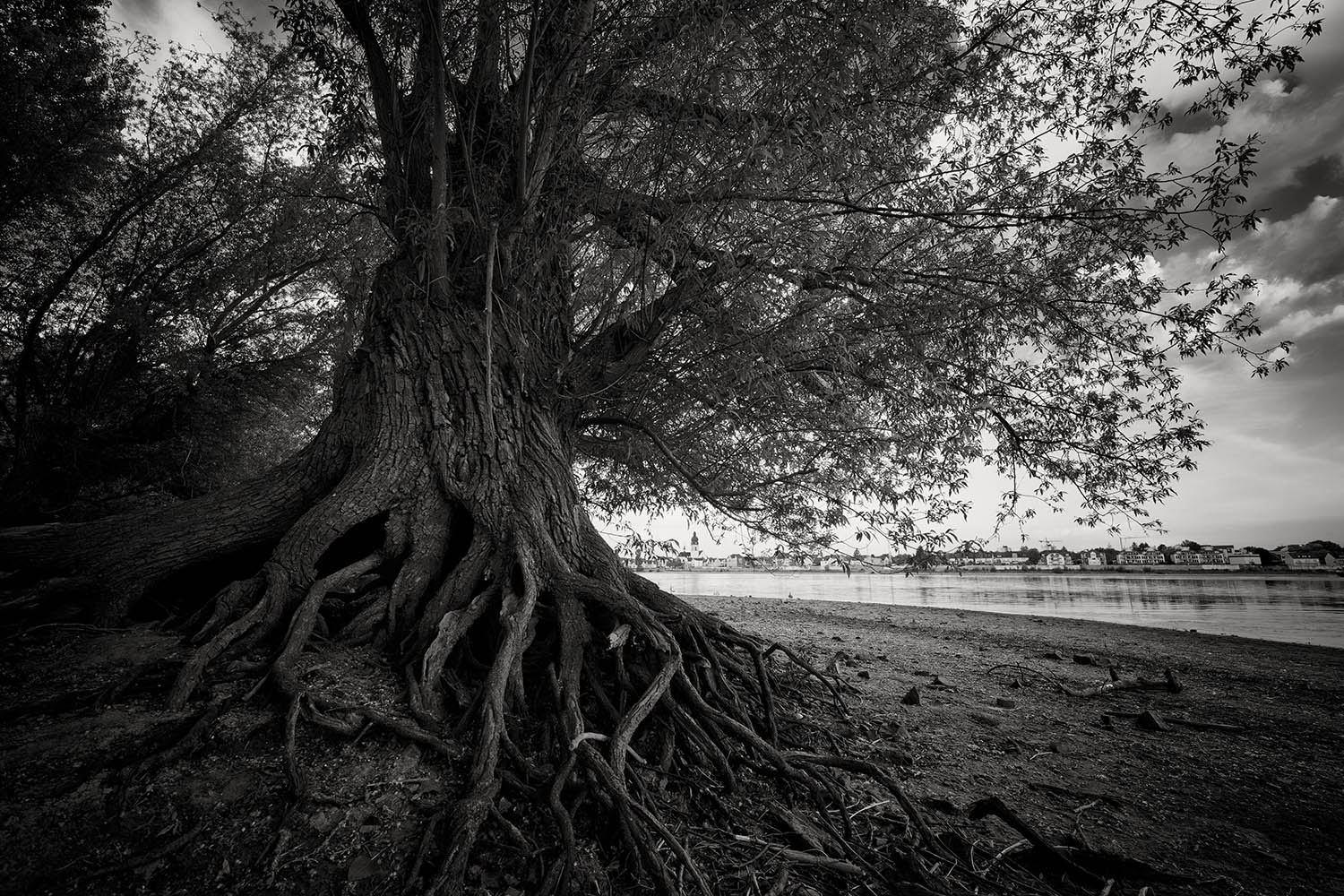 photo "***" tags: landscape, black&white, Europe, river, water