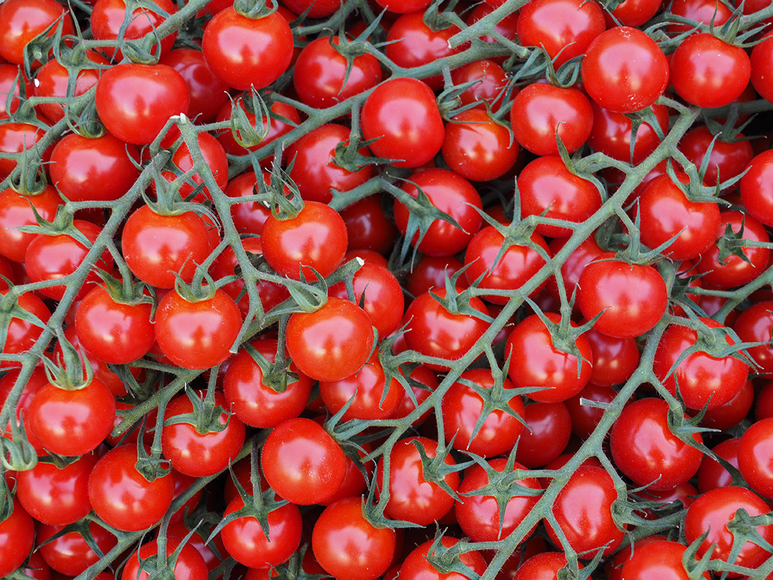 photo "Tomato" tags: street, macro and close-up, still life, 