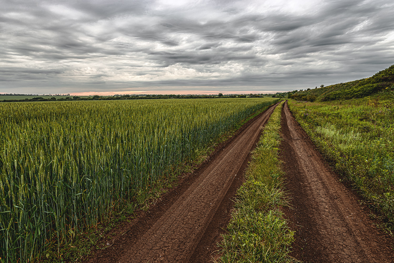 photo "Country road" tags: landscape, nature, field, road, грунтовка, просёлок, пшеница