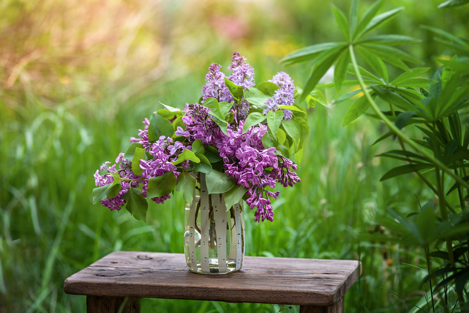 photo "***" tags: still life, 