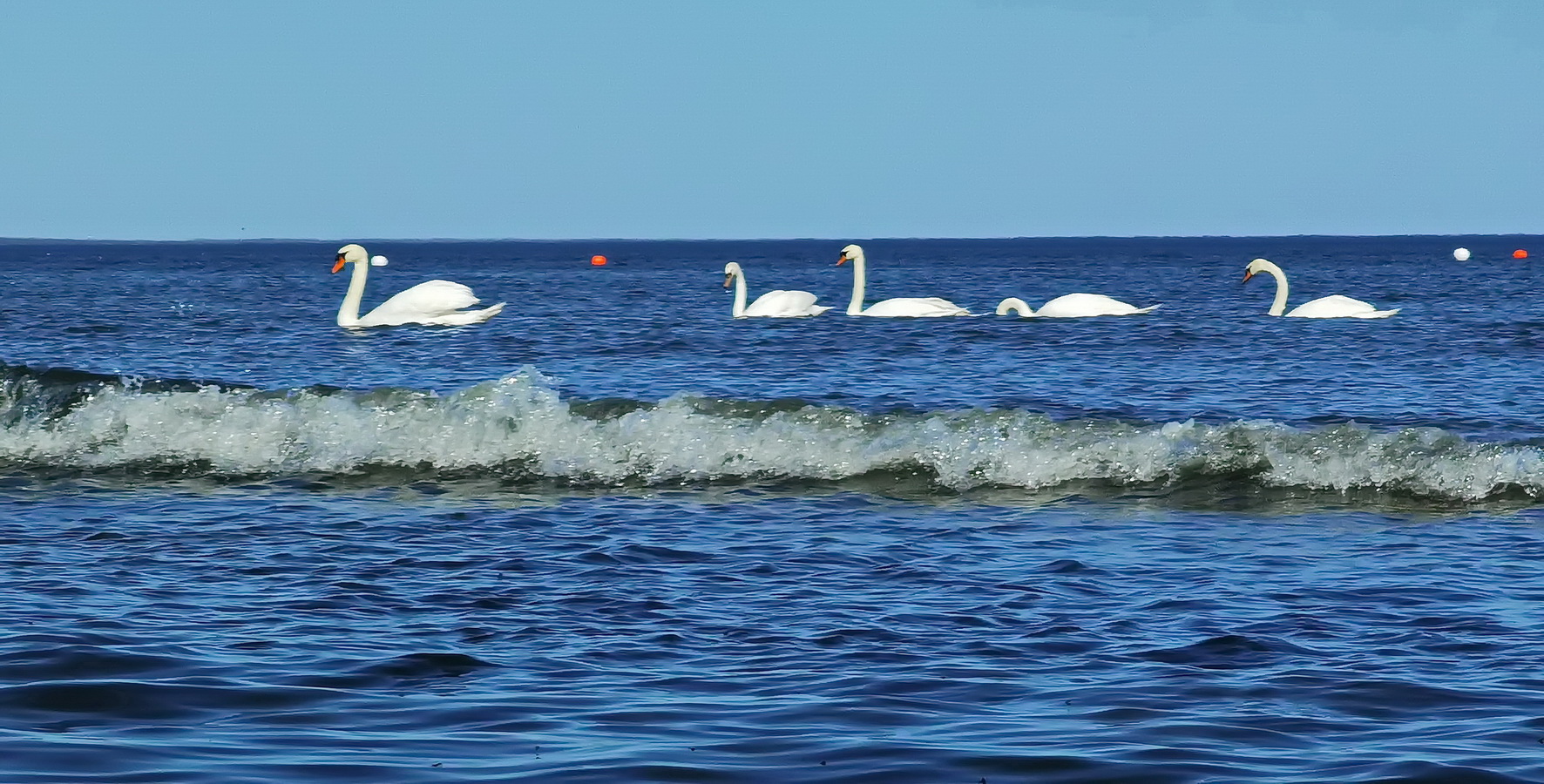 photo "On the beach of Limala. Ida Virumaa. Estonia" tags: travel, 