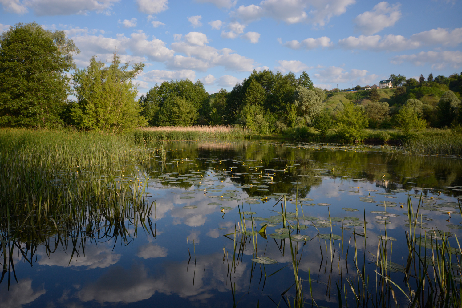 photo "***" tags: landscape, morning, river, summer, sunrise, Псёл