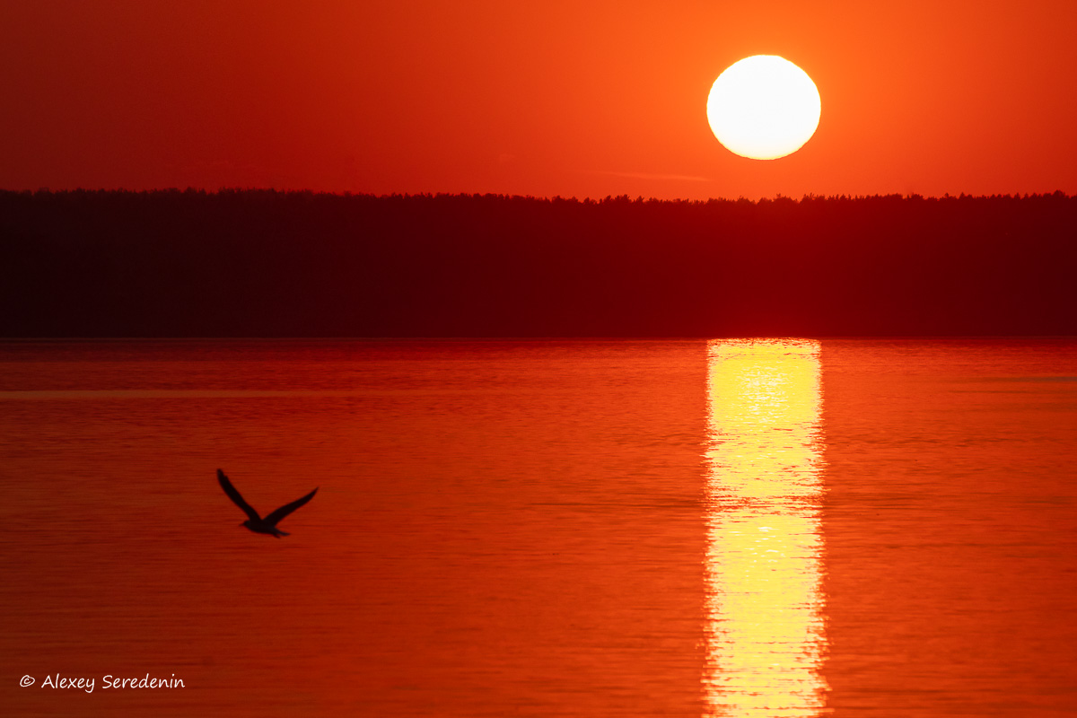 photo "***" tags: nature, landscape, 