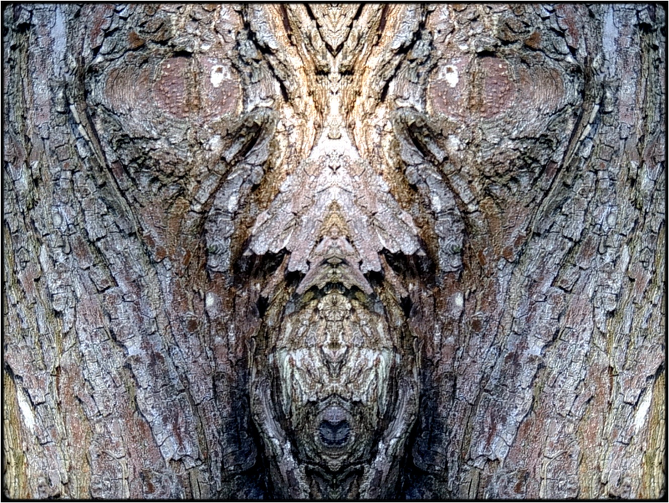 photo "the hornet" tags: digital art, nature, macro and close-up, bark, close-up, mirror