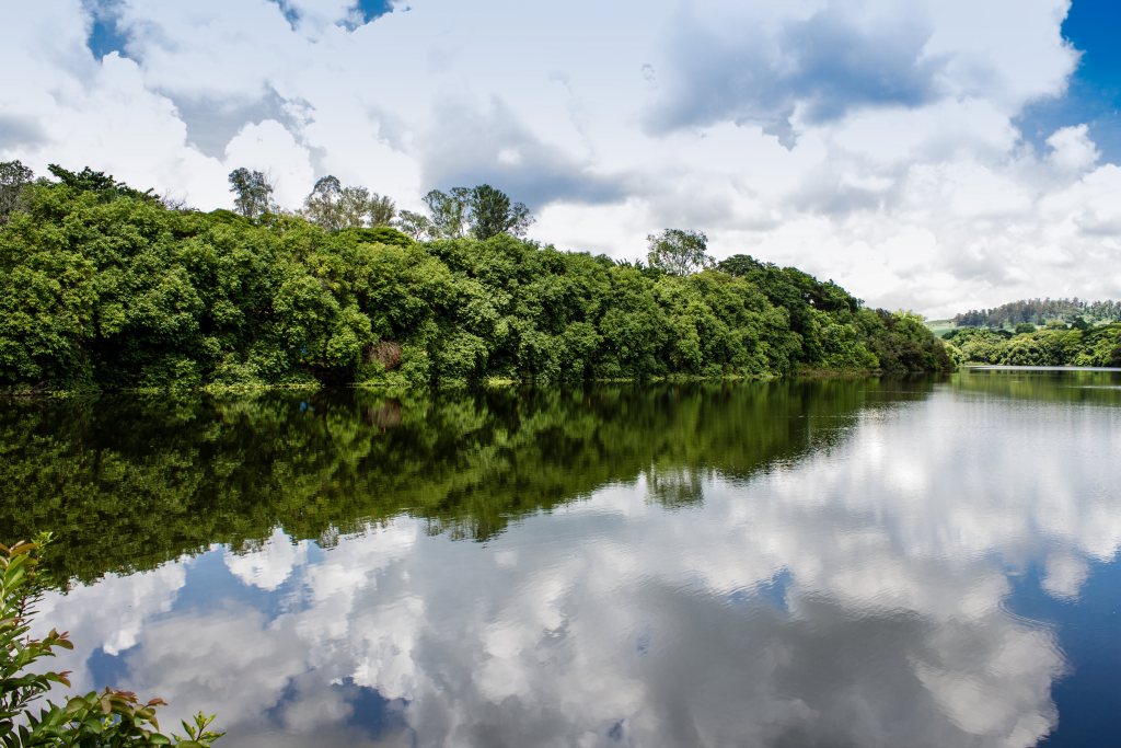 photo "USP lake" tags: landscape, nature, 