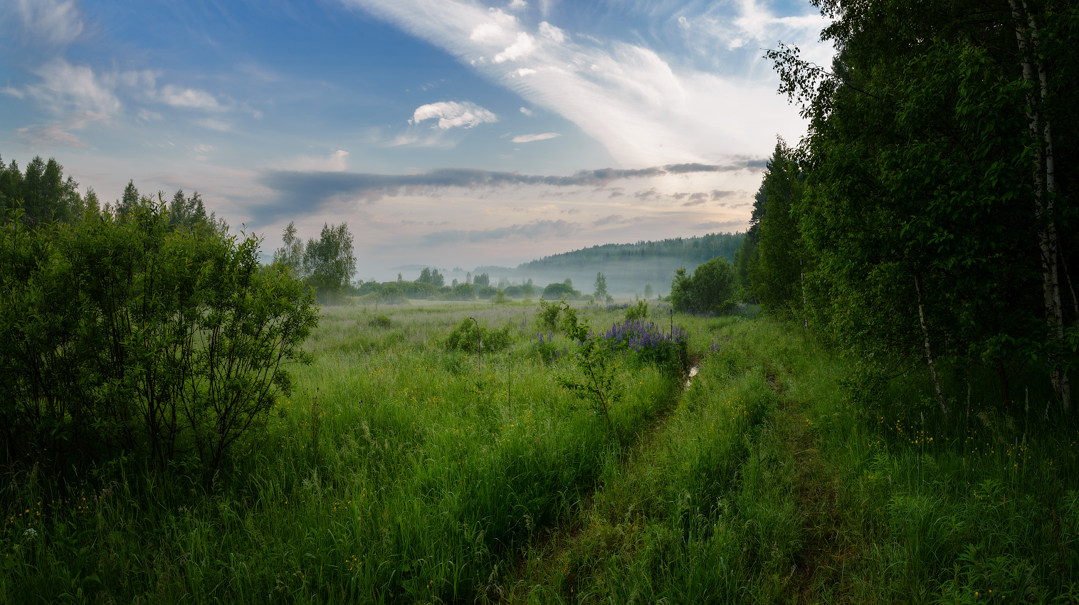 photo "***" tags: landscape, nature, 