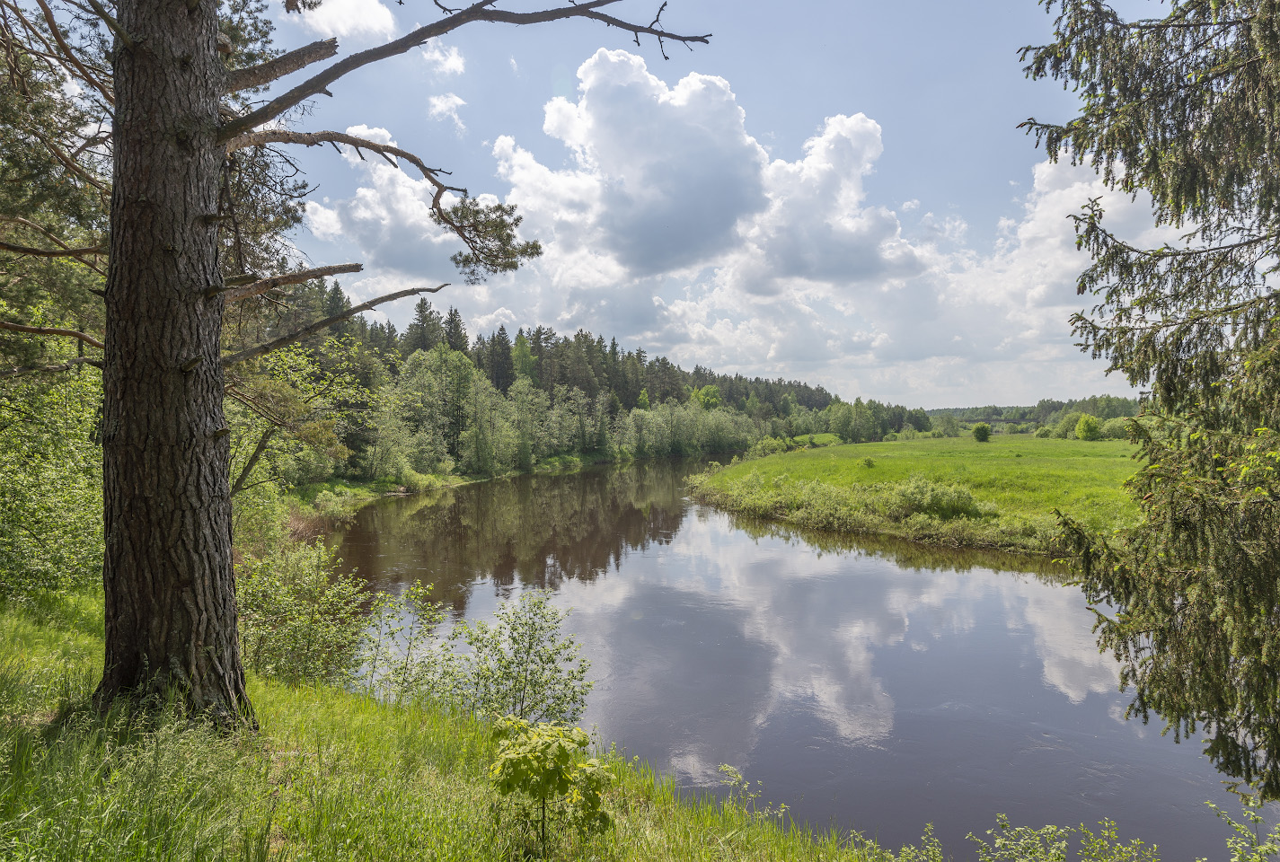 фото "Высокий берег" метки: пейзаж, 