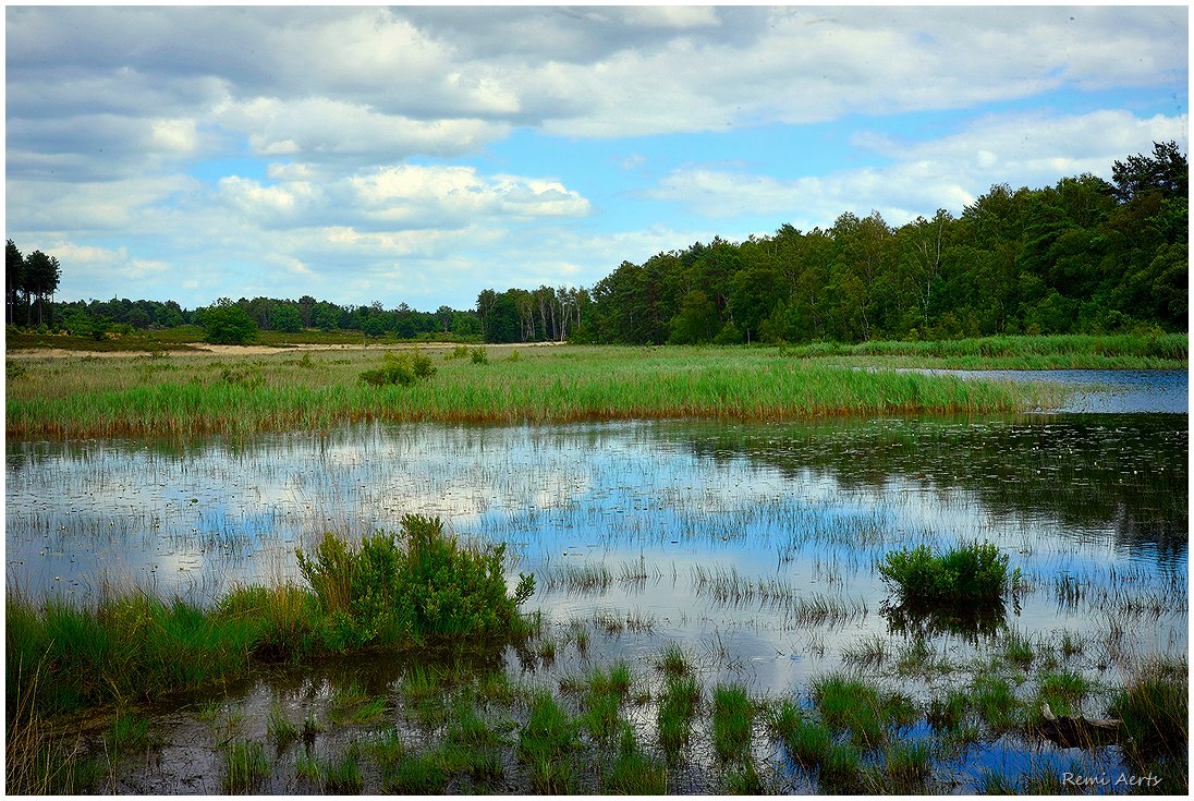 photo "***" tags: landscape, nature, 