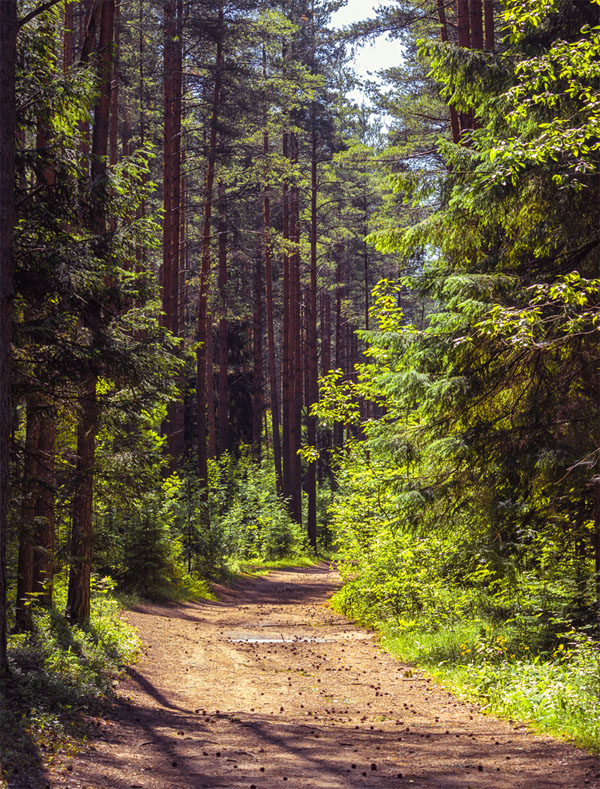 фото "***" метки: пейзаж, 