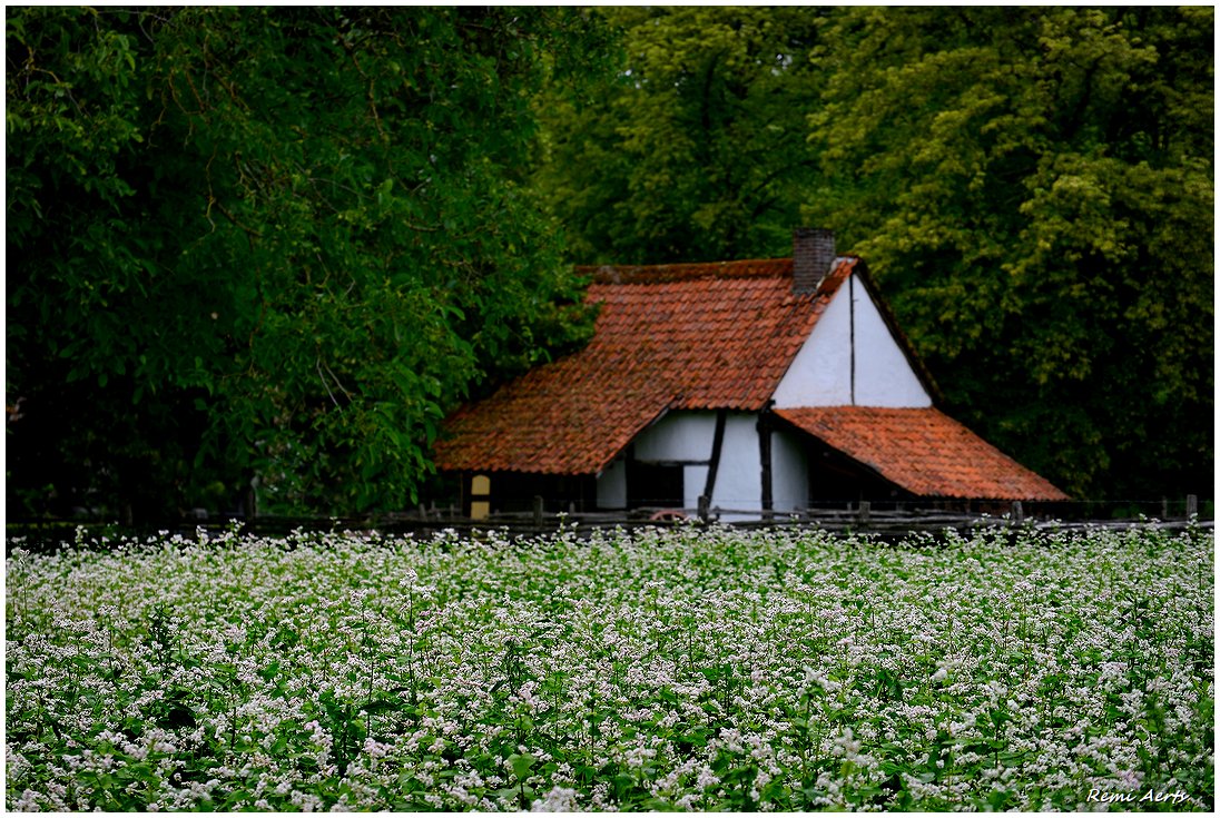 фото "***" метки: пейзаж, архитектура, 