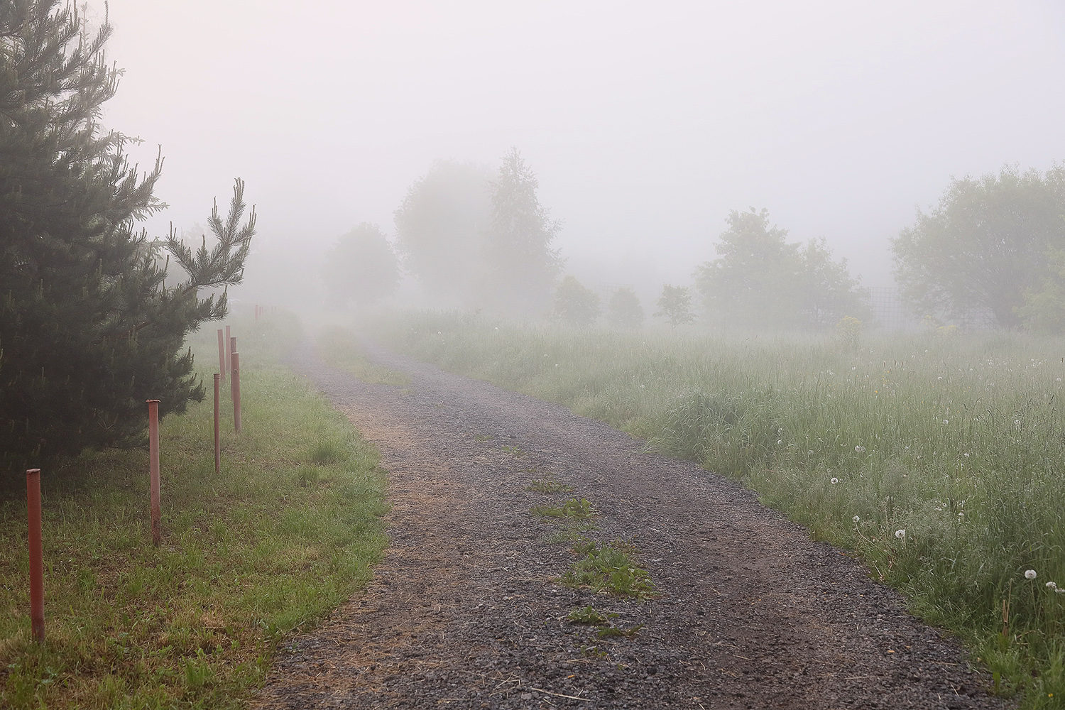 photo "***" tags: landscape, travel, nature, 