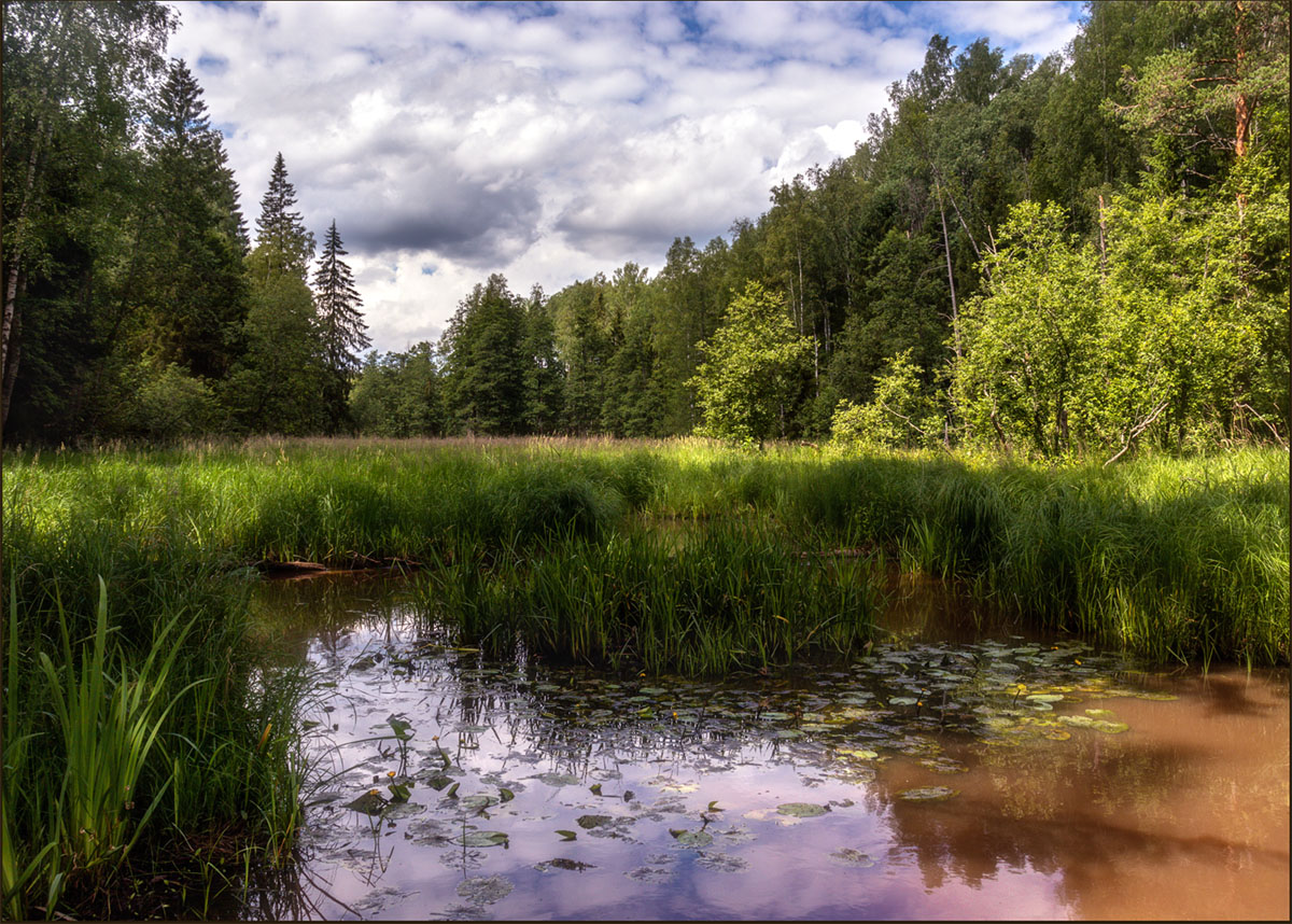 фото "***" метки: пейзаж, 