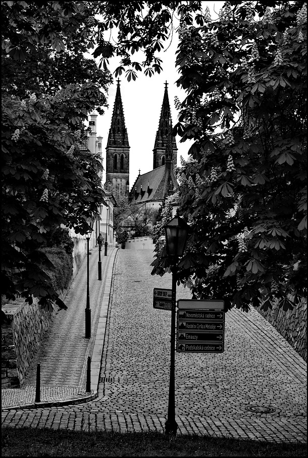 photo "Hа Вышеграде-3" tags: black&white, Prag, Prague, Praha