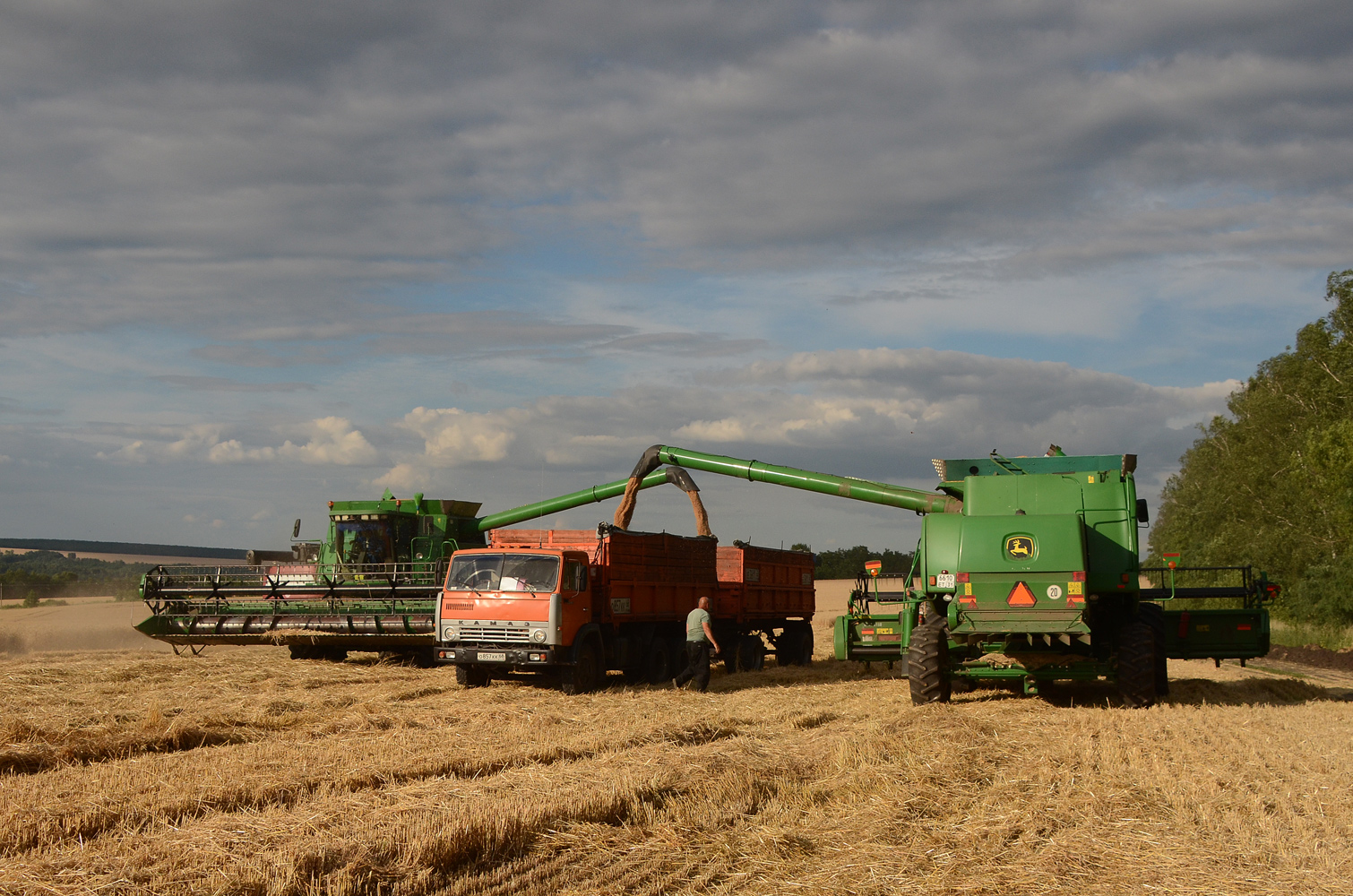 photo "***" tags: reporting, field, summer, жатва, хлеб