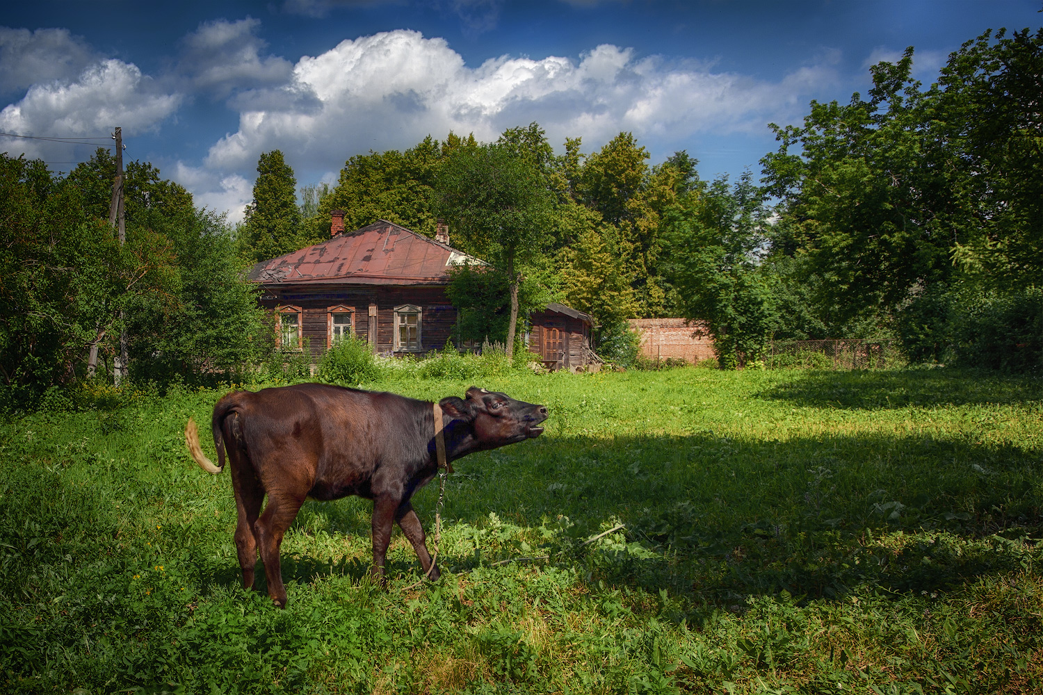 фото "Лето в глубинке" метки: пейзаж, 