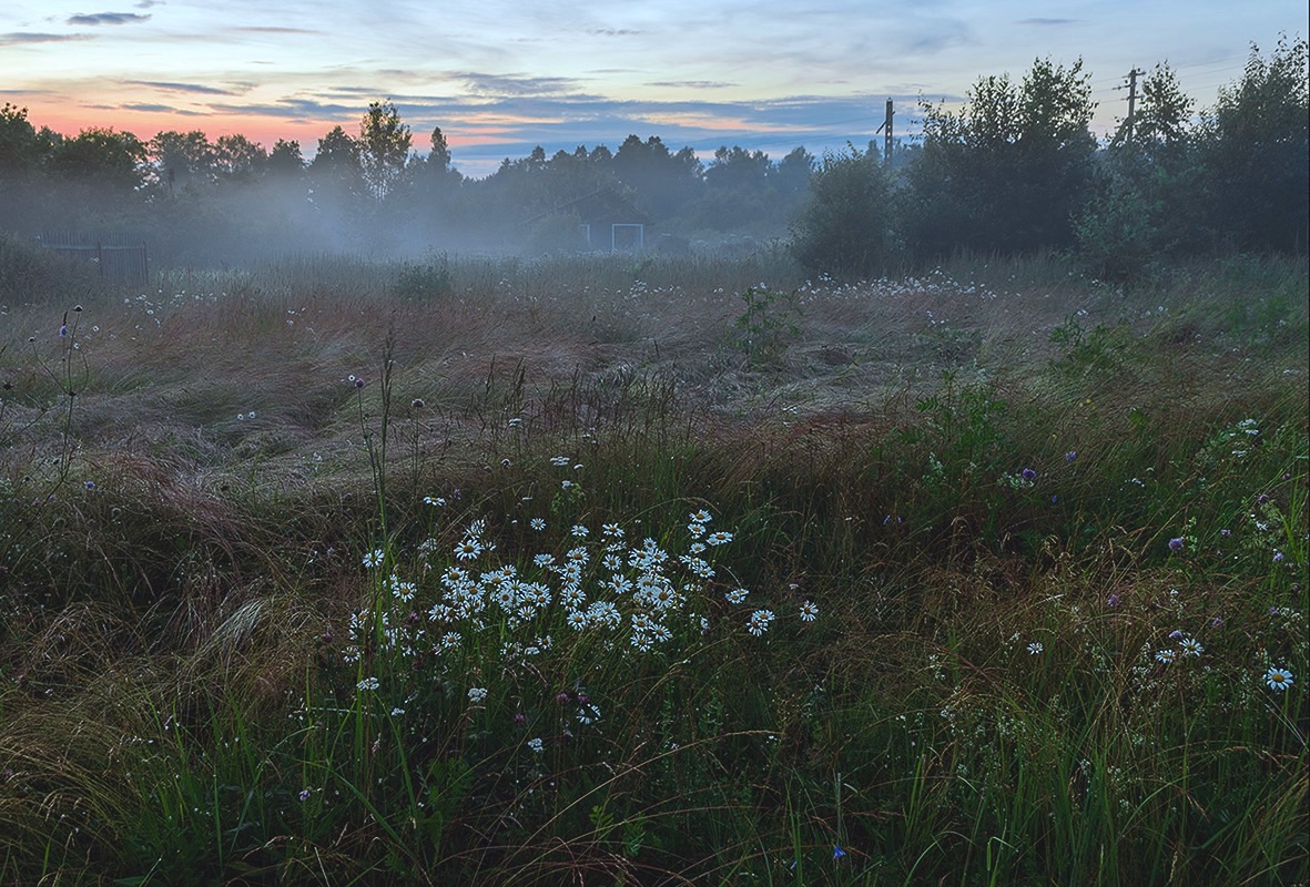 photo "***" tags: landscape, 