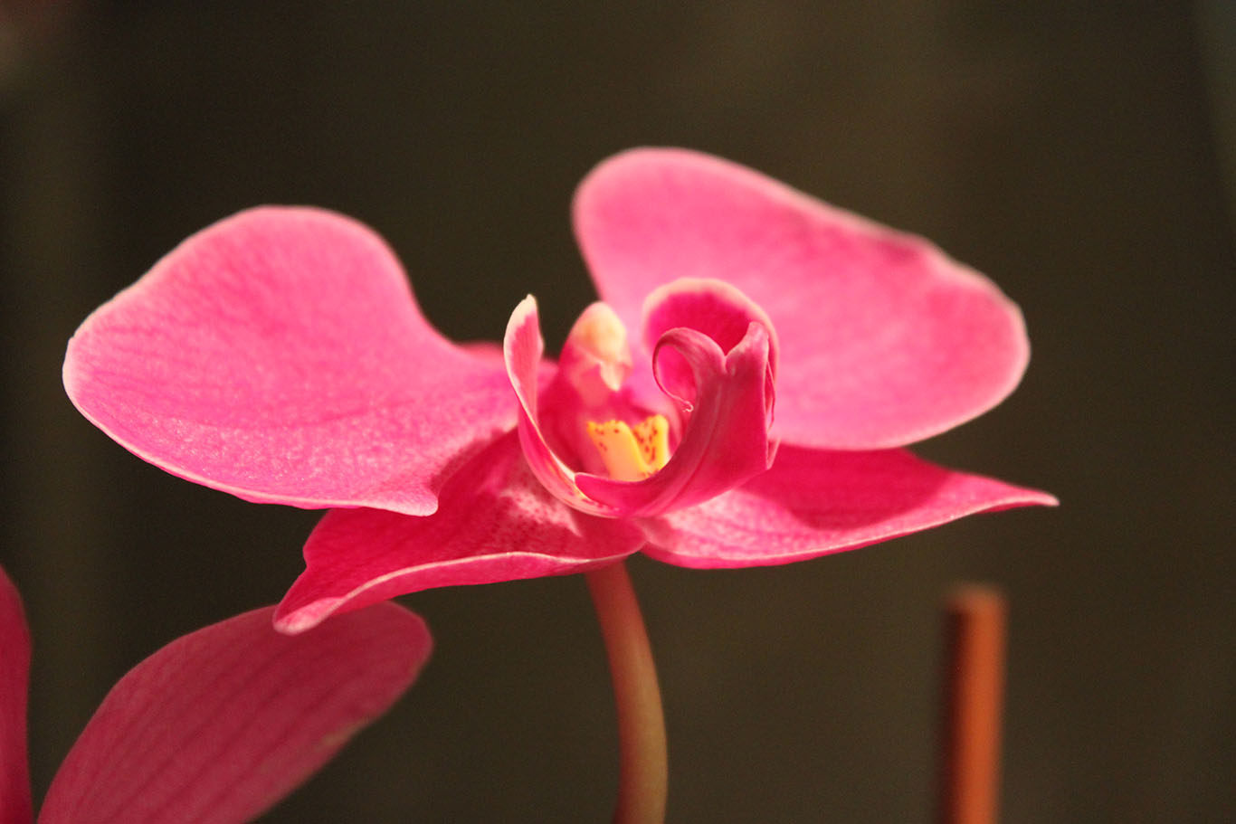photo "***" tags: , 