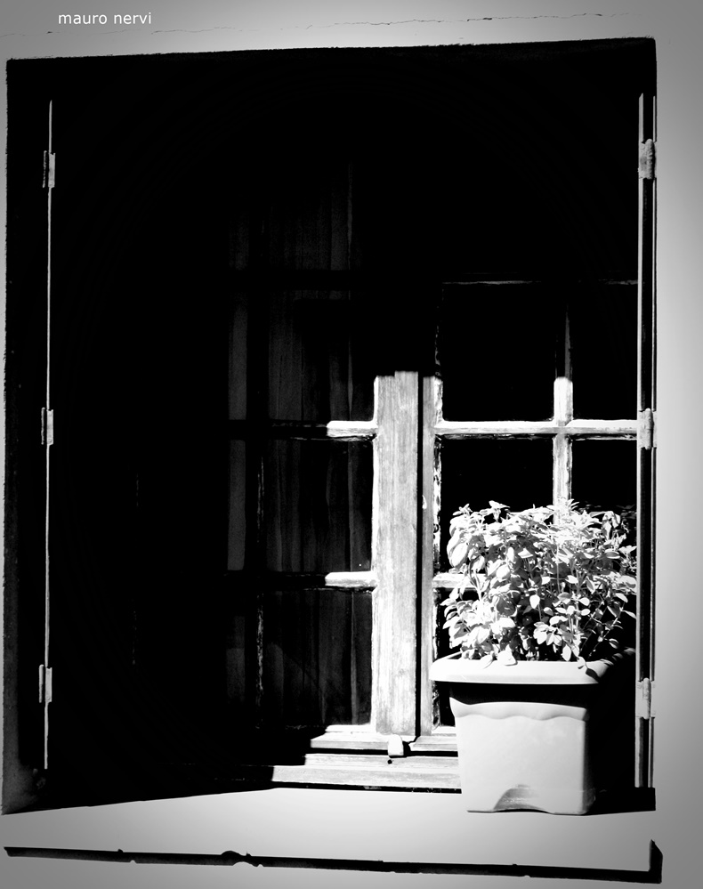 photo "window" tags: black&white, 