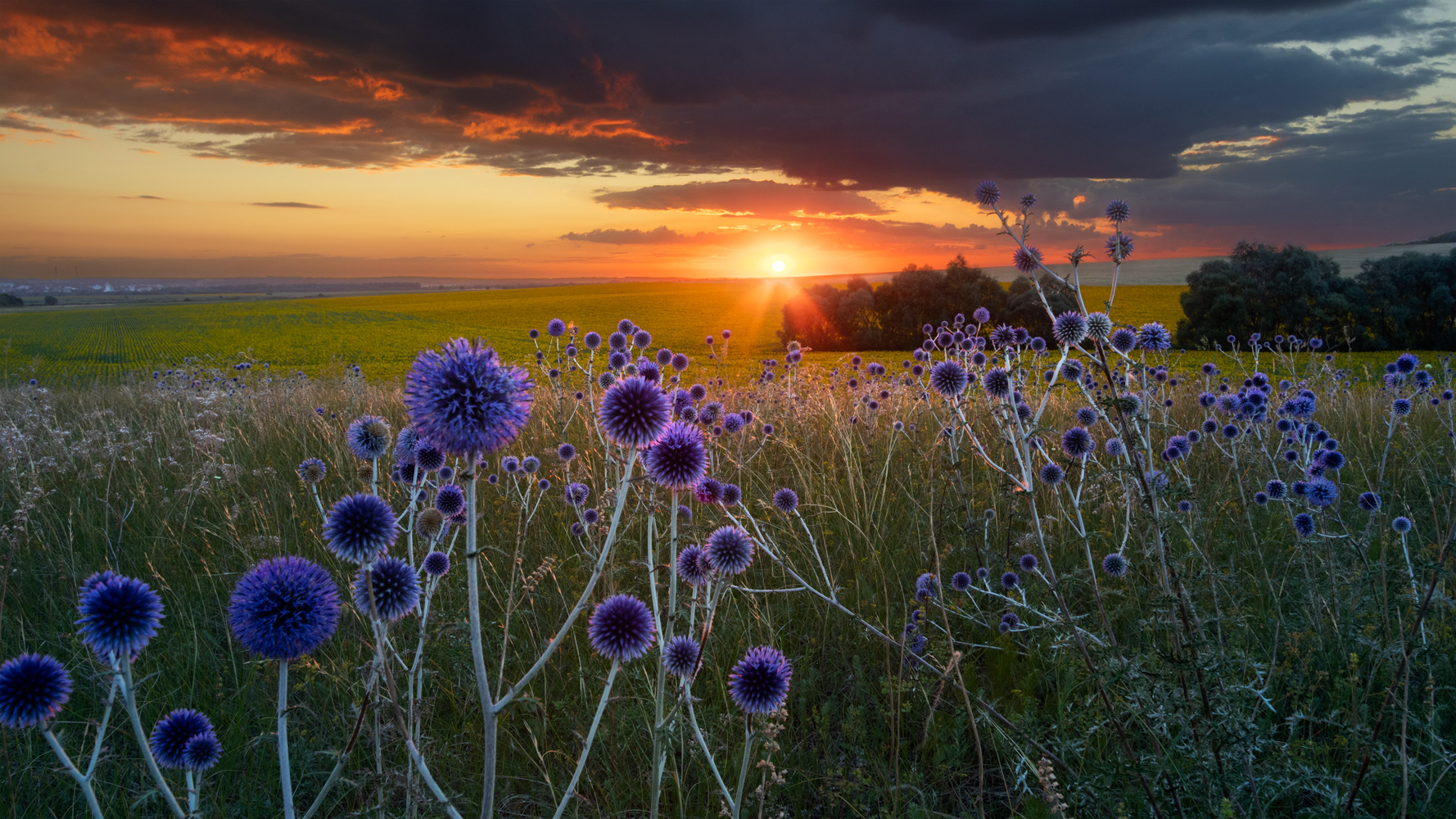 фото "***" метки: пейзаж, 