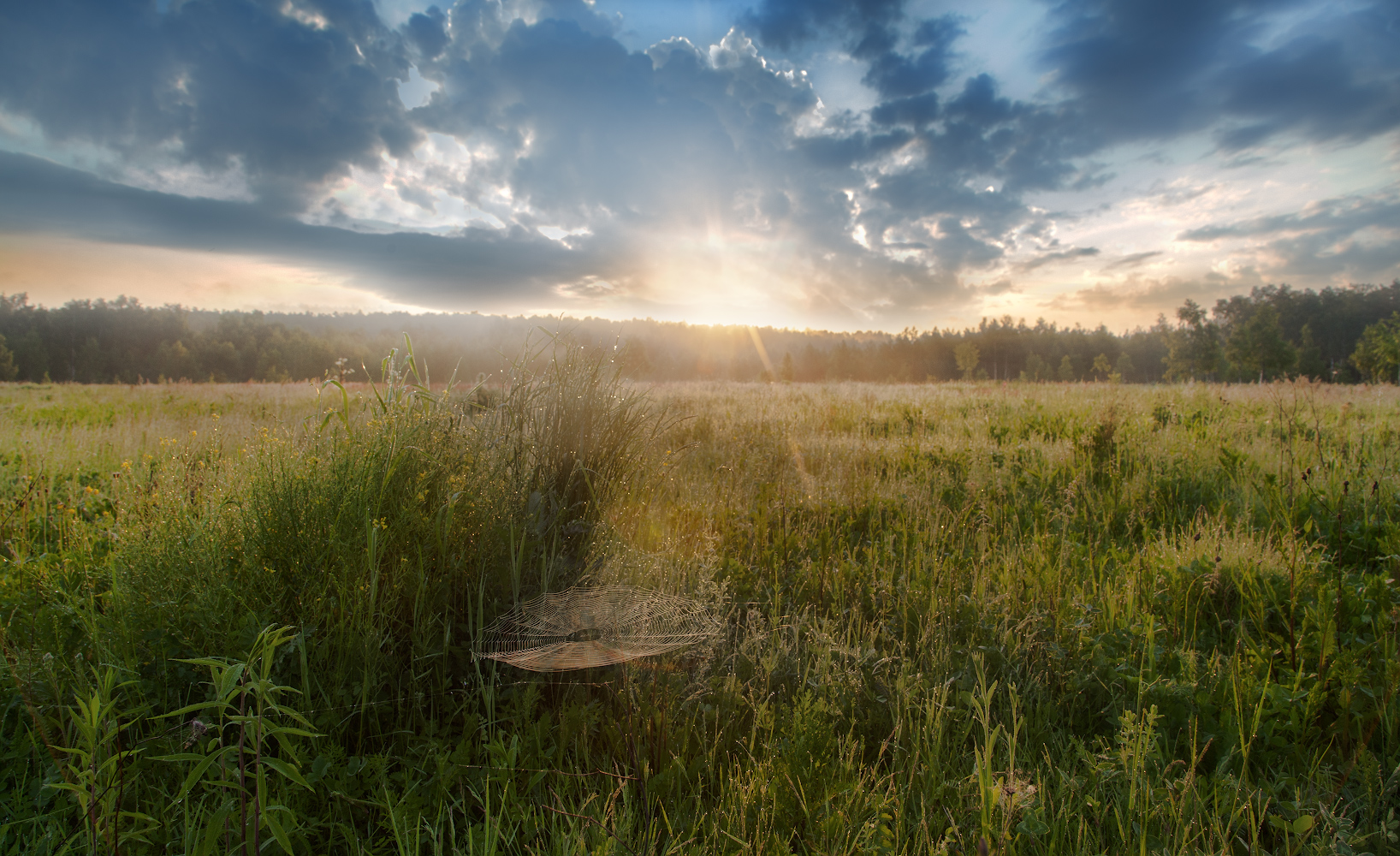 photo "***" tags: landscape, nature, 