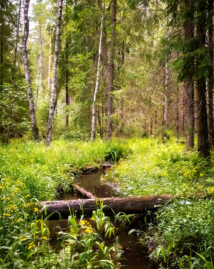 фото "***" метки: пейзаж, 