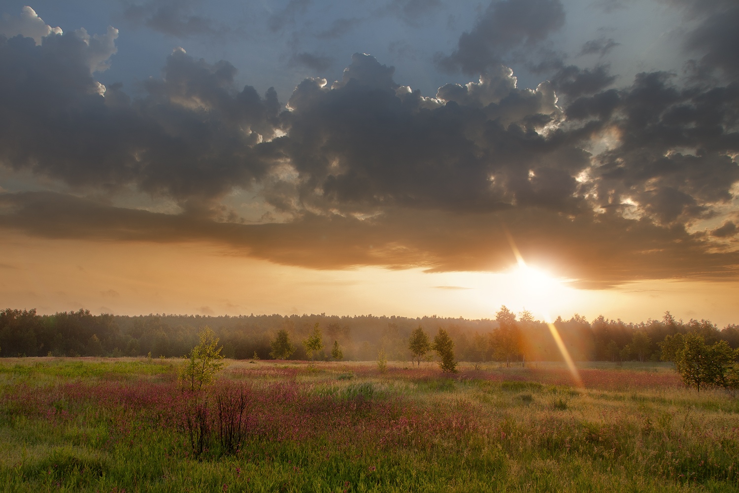 фото "***" метки: пейзаж, 