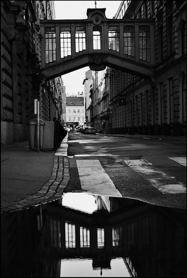 фото "Лужа и улица" метки: черно-белые, Prag, Praha, Прага
