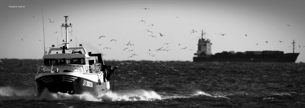 photo "the fishermen: coming back home" tags: black&white, 