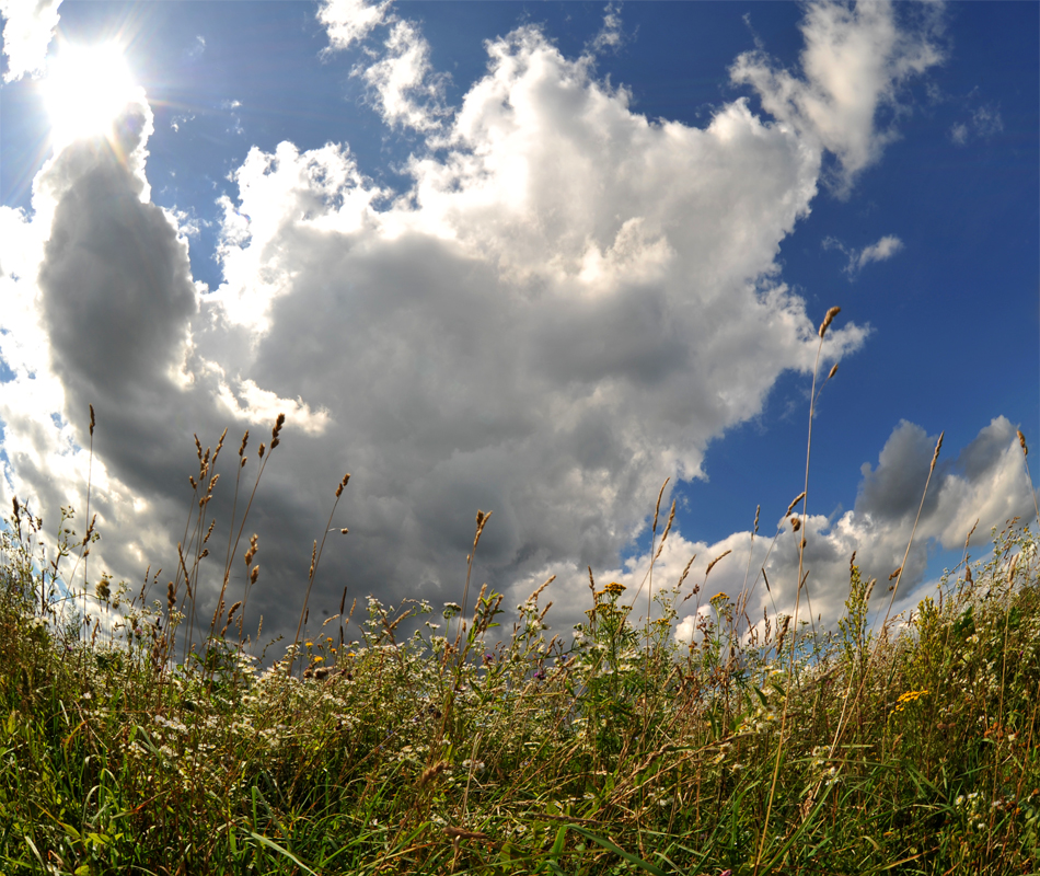 photo "***" tags: nature, clouds, summer