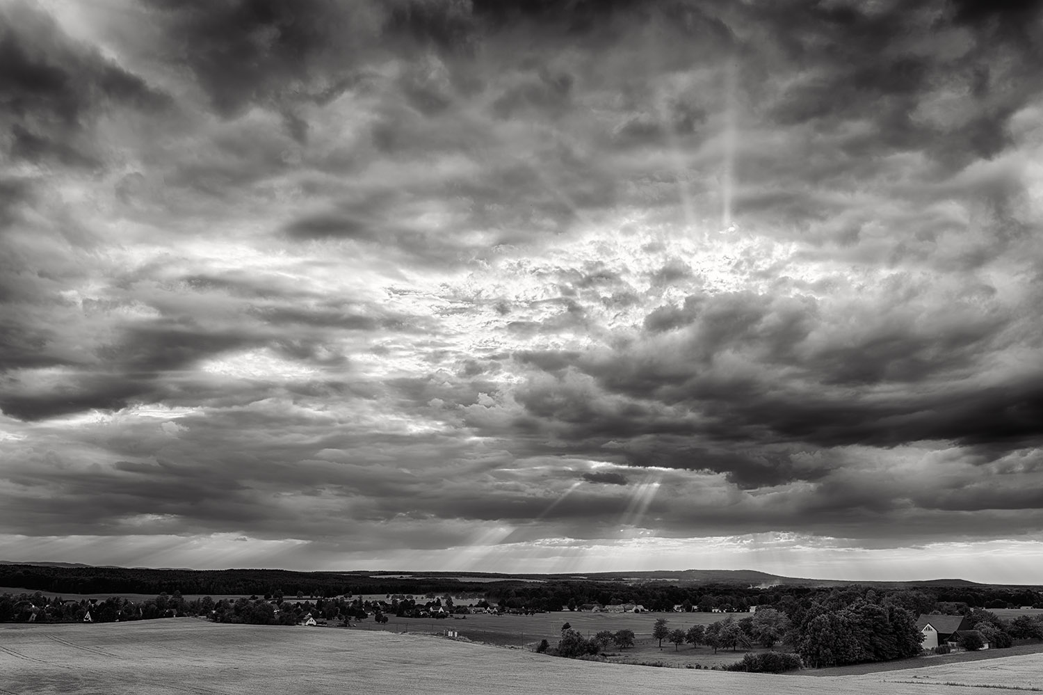 photo "Wiesa" tags: landscape, black&white, Europe