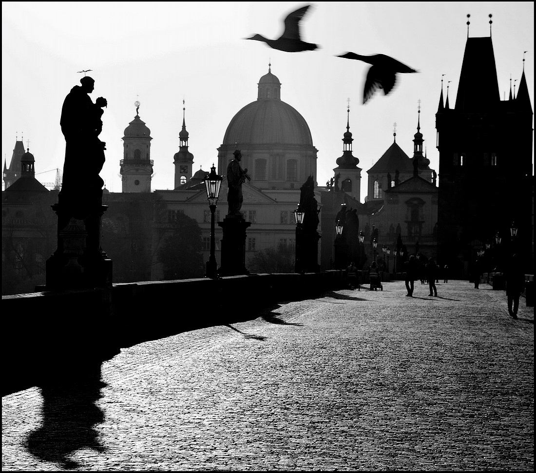 photo "Утро на Карловом мосту" tags: black&white, Prag, Prague, Praha