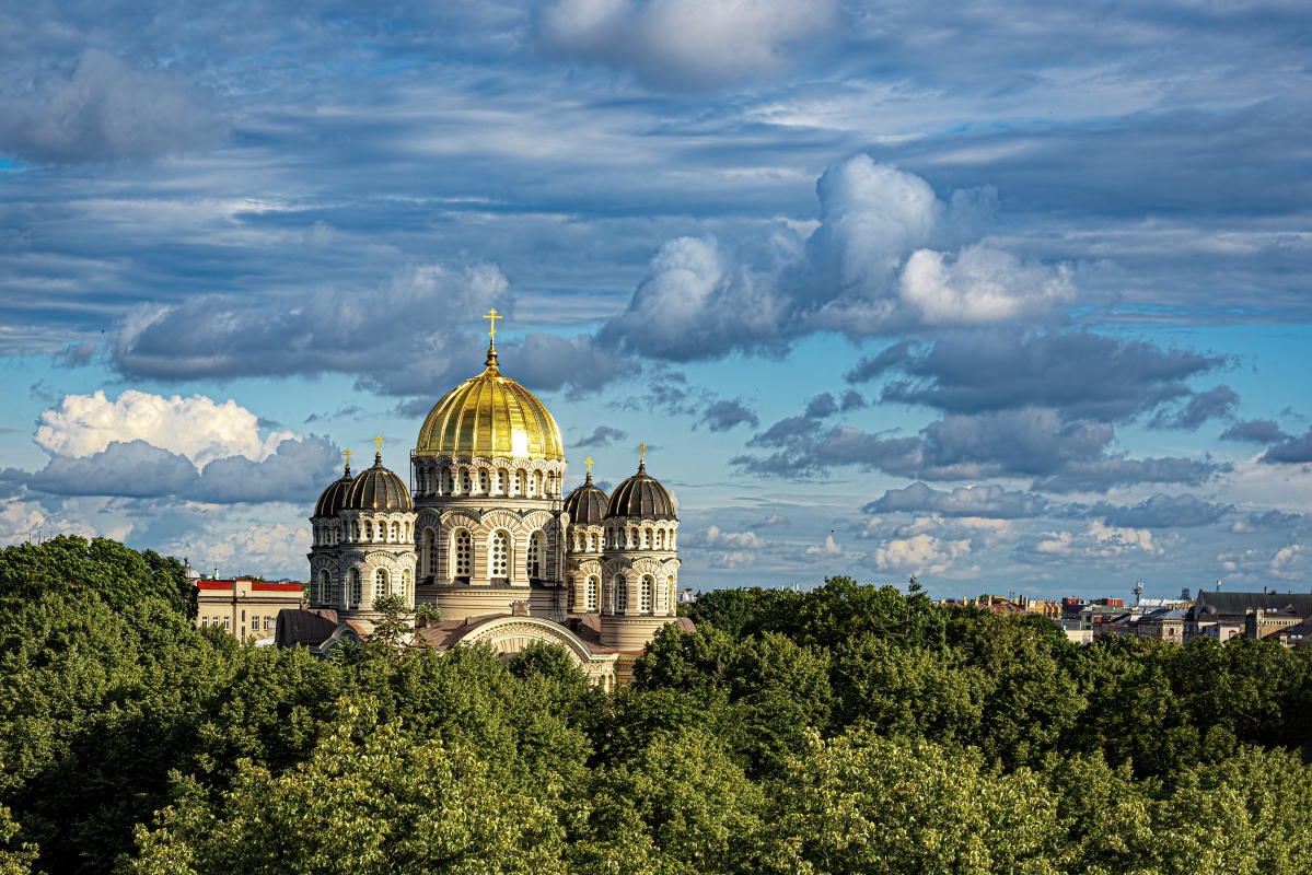 photo "Above the Trees" tags: architecture, 