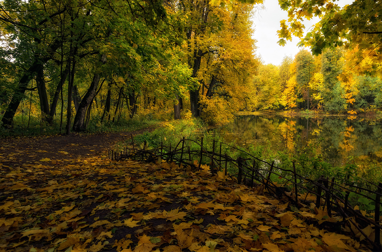 photo "***" tags: , 