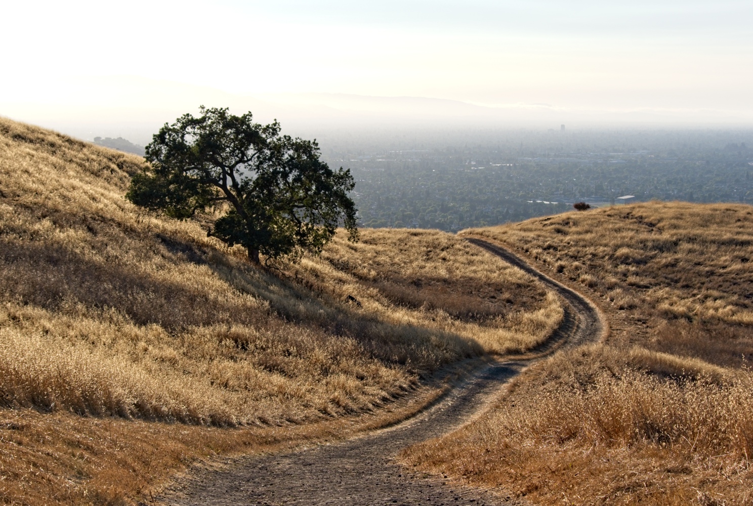 фото "Вид на Сан Хосе с горы" метки: пейзаж, San Jose