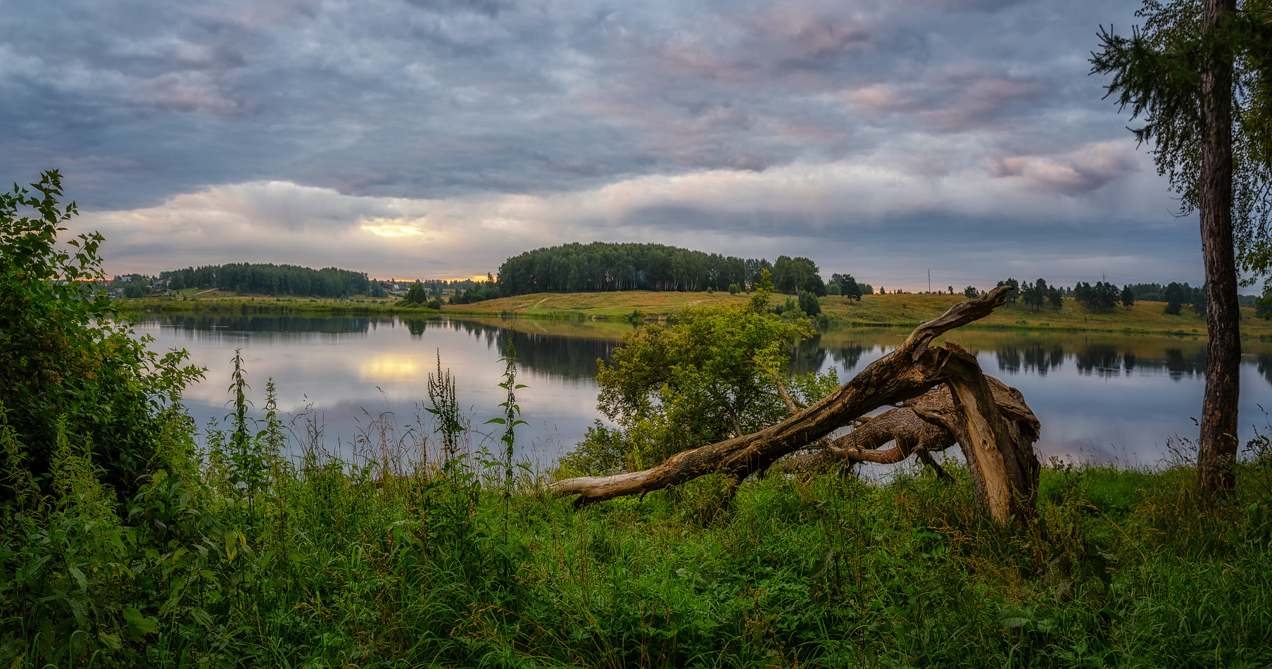 фото "бурелом" метки: пейзаж, природа, 