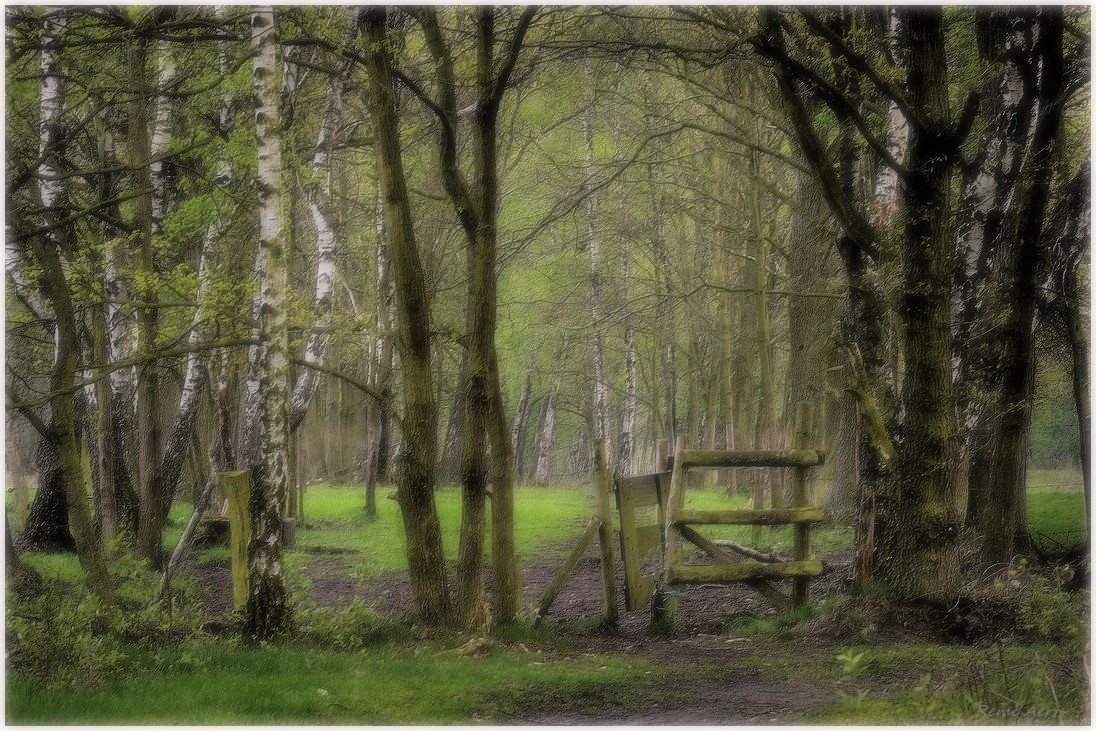 фото "***" метки: пейзаж, природа, 
