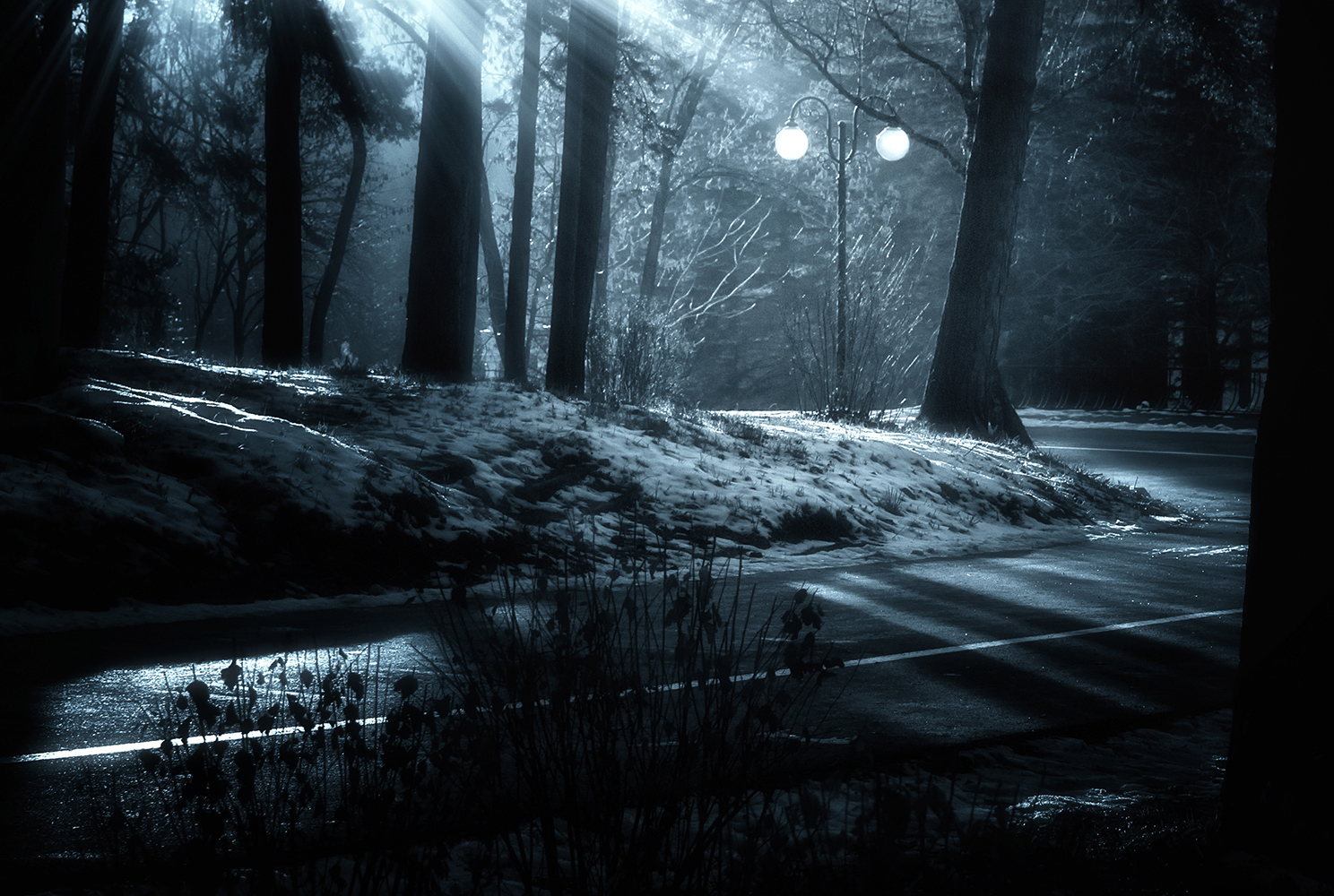 photo "***" tags: , 