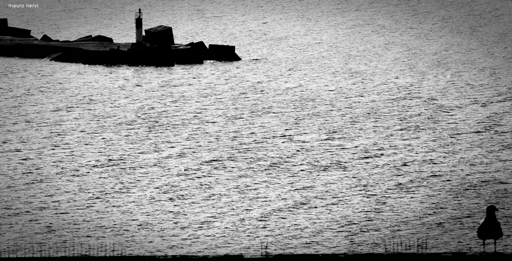 photo "beside the sea" tags: black&white, 