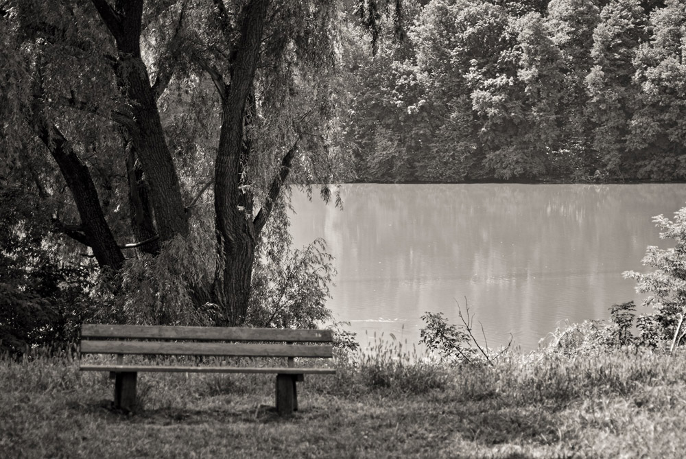 photo "***" tags: landscape, black&white, travel, lake, summer, water, лавочка, у озера