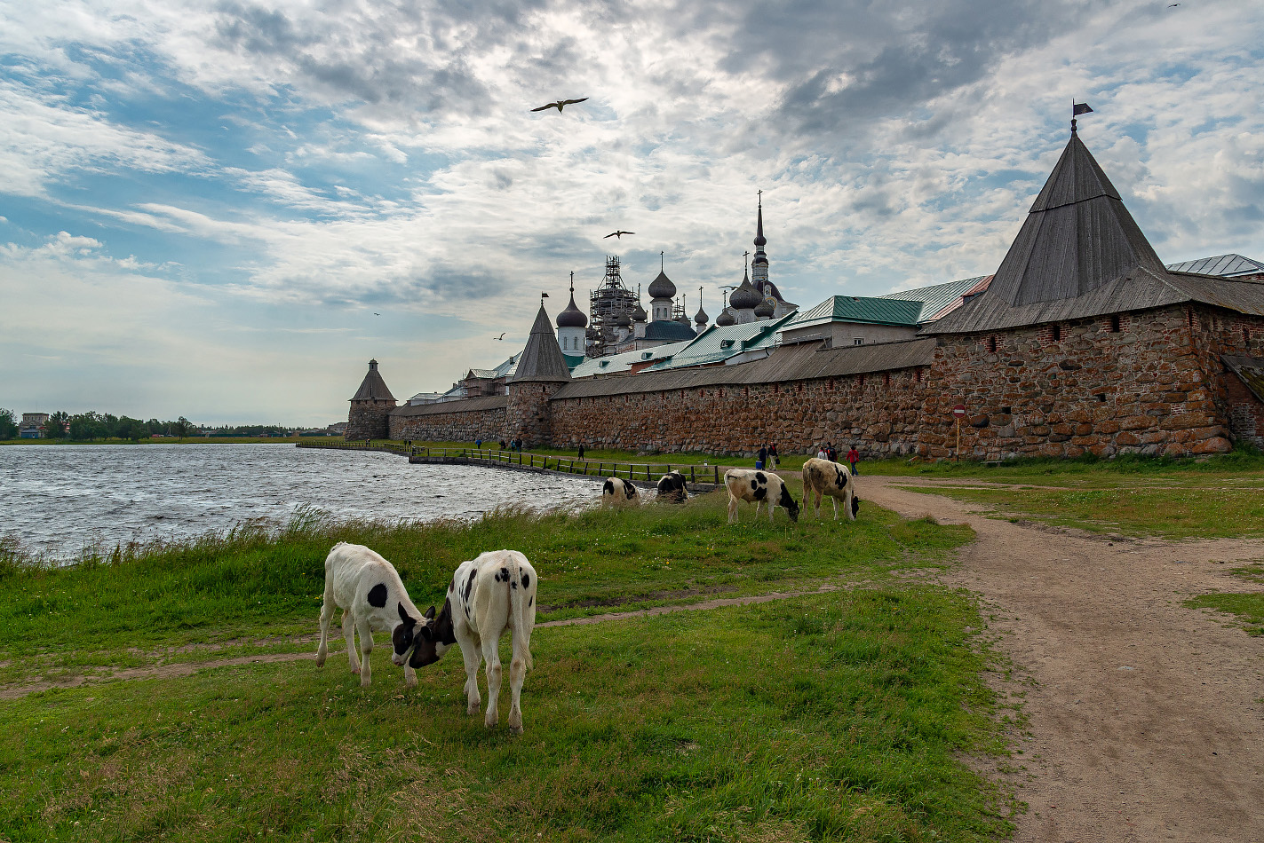 photo "***" tags: landscape, travel, White Sea, island, summer, монастырь, путешествие