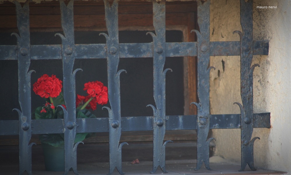 photo "the cage" tags: street, 