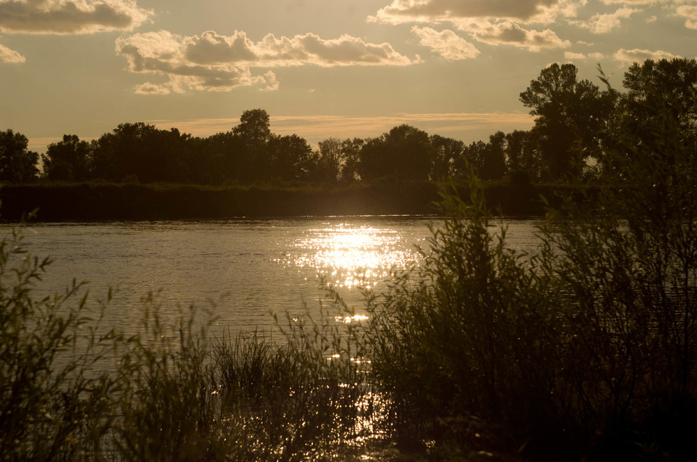 photo "***" tags: landscape, travel, nature, evening, summer, water, лето 2020, полесье, река Десна, солнечно