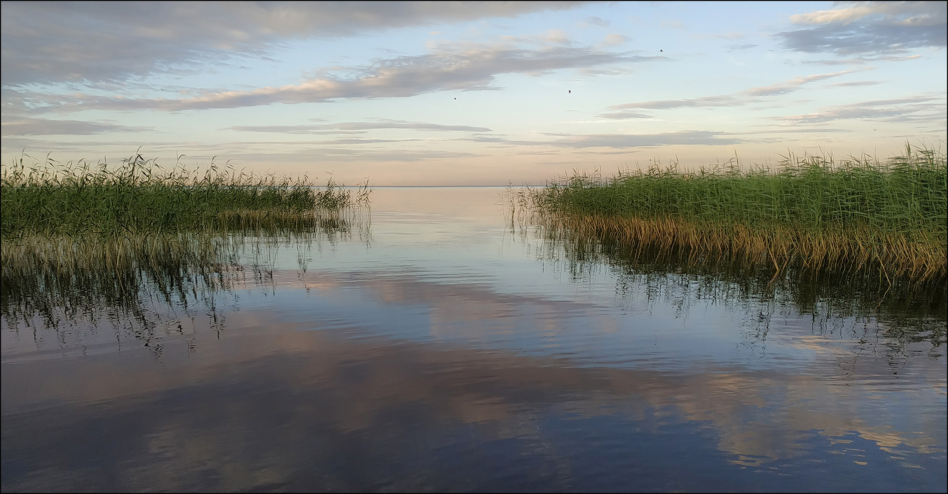 photo "* * *" tags: travel, lake, summer, sunset, water, Ладога