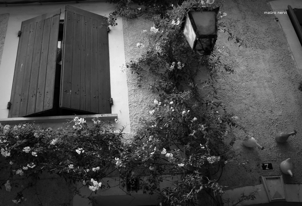 photo "in the village: window" tags: black&white, 