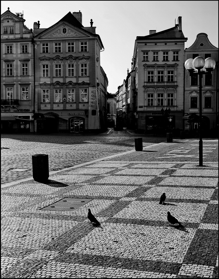 photo "Дома и голуби" tags: black&white, Prag, Prague, Praha