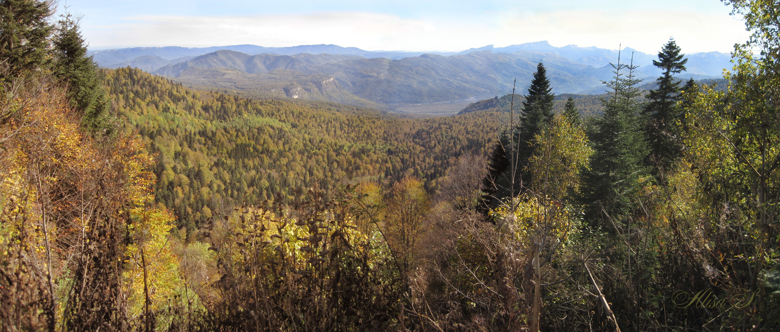 photo "Adygea. On Thachi, behind Lago-Naki." tags: travel, forest, mountains, Лаго-Наки