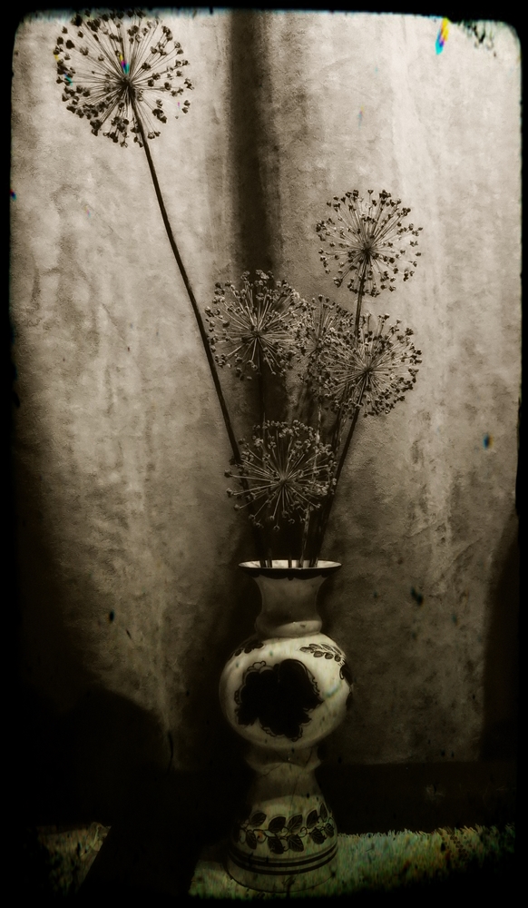 photo "Dans le style de la decadence" tags: still life, old-time, 