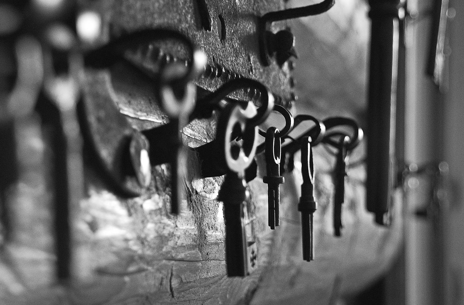 photo "***" tags: black&white, old-time, macro and close-up, Суздаль, Щурово городище